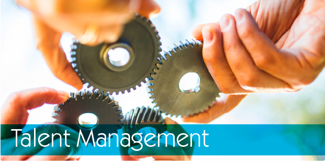 talent_management_banner